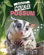 Buy Possum