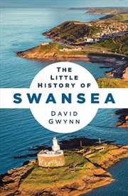 Buy The Little History Of Swansea