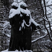 Buy Cold In The Earth