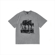 Buy Arirang World Tour 2nd Drop Official Md S/S Photo T-Shirt (Gray) - M