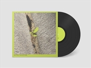 Buy Close-Up On The Outside