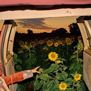 Buy Little Wide Open: Limited Edition