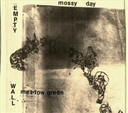 Buy Empty Wall Meadow Green
