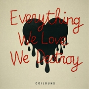 Buy Everything We Love We Destroy
