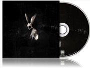 Buy Follow The White Rabbit