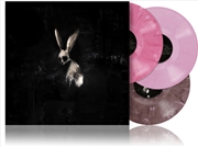 Buy Follow The White Rabbit