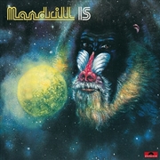 Buy Mandrill Is