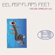 Buy Eel Asp Flaps Feet