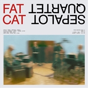 Buy Fatcat