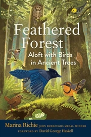 Buy Feathered Forest : Aloft with Birds in Ancient Trees