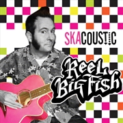 Buy Skacoustic