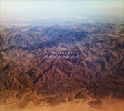 Buy Pale Morning Light