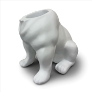 Buy Urban Attitude Maggie Bulldog Planter - Matte White