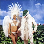 Buy Alligator Farm