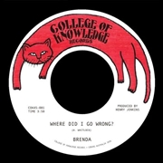 Buy Where Did I Go Wrong B/W Family