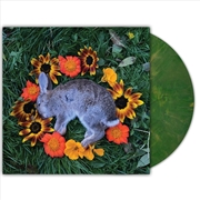 Buy Your Time To Shine - Copper Emerald Vinyl