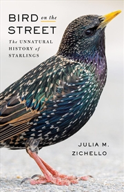 Buy Bird on the Street : The Unnatural History of Starlings
