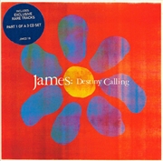 Buy Destiny Calling