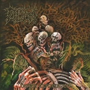 Buy Death Exhibiton