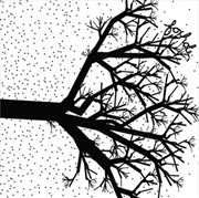 Buy We The Wintering Tree