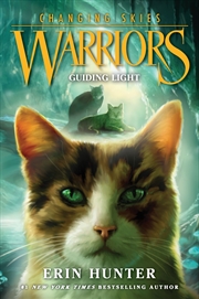 Buy Warriors Changing Skies #4 Guiding Light