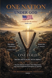Buy One Nation Under God