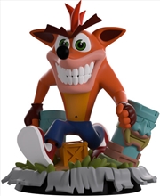 Buy Crash Bandicoot - Crash Bandicoot Vinyl