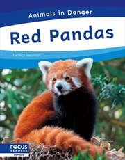 Buy Animals In Danger: Red Pandas