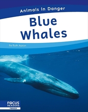Buy Animals In Danger: Blue Whales