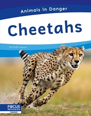 Buy Animals In Danger: Cheetahs