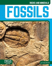 Buy Rocks And Minerals: Fossils