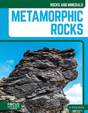 Buy Rocks And Minerals: Metamorphic Rocks