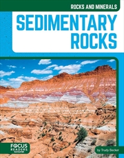 Buy Rocks And Minerals: Sedimentary Rocks