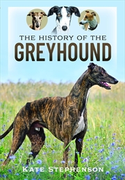 Buy History Of The Greyhound