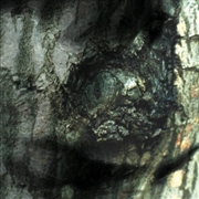 Buy La Valse Des Monstres