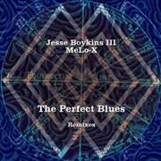 Buy Perfect Blues Remixes