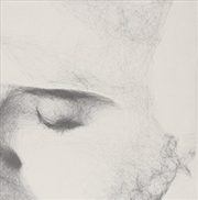 Buy Little Part Of Shade