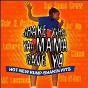 Buy Shake What Ya Mama Gave