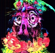 Buy Lights From Paradise