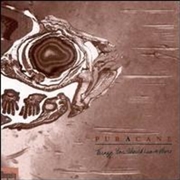 Buy Things You Should Leave Alone