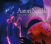 Buy Orchid In The Storm