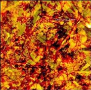 Buy Ethiopias Rise Bimbam