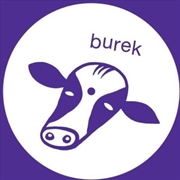 Buy Serenity In A Forbidden Place