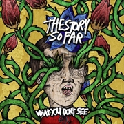 What You Dont See | Vinyl