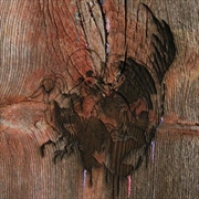 Buy Enter The Slasher House