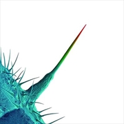 Buy And I'll Scratch Yours