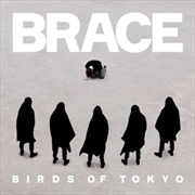 Brace | CD