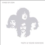 Buy Youth and Young Manhood