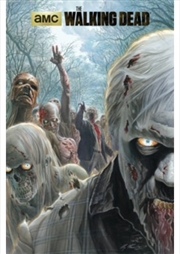 Buy The Walking Dead Zombie Horde