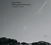 Buy Imaginary Cities